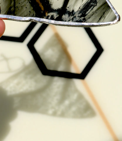 Black Shark Tooth Sun Catcher