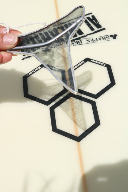 Black Shark Tooth Sun Catcher