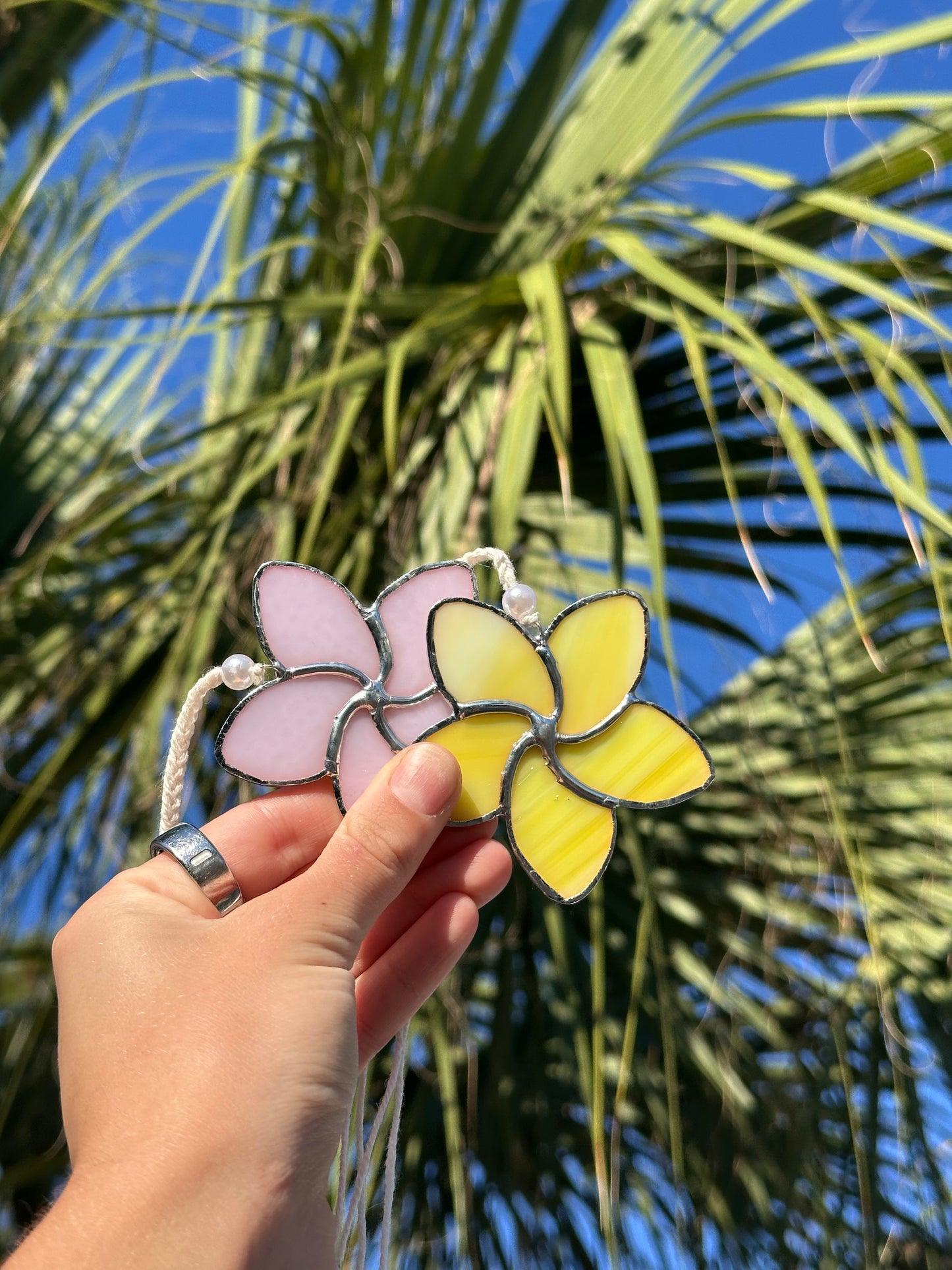 Plumeria Flower