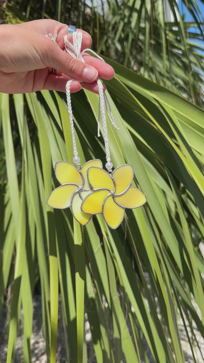 Yellow Plumeria Flower